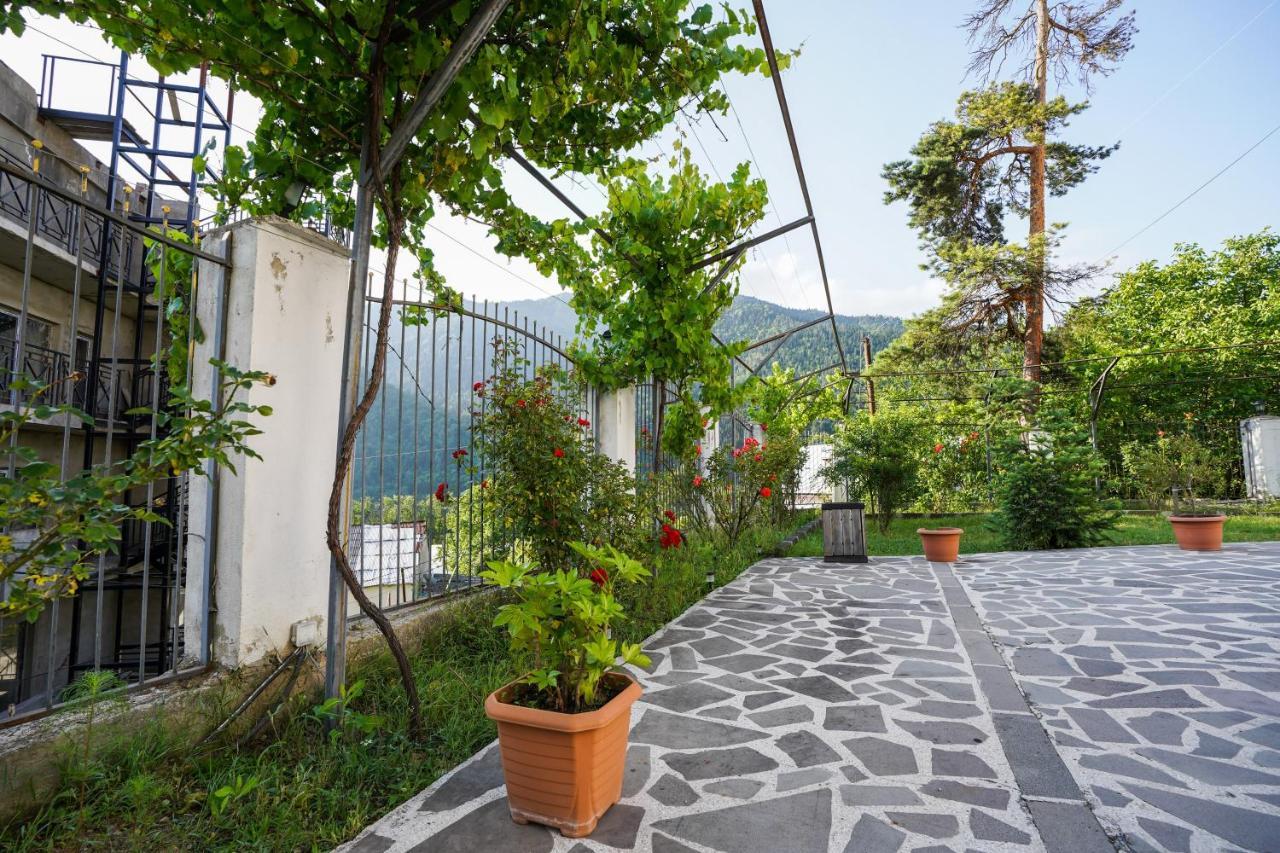 Natali Hotel Borjomi ภายนอก รูปภาพ
