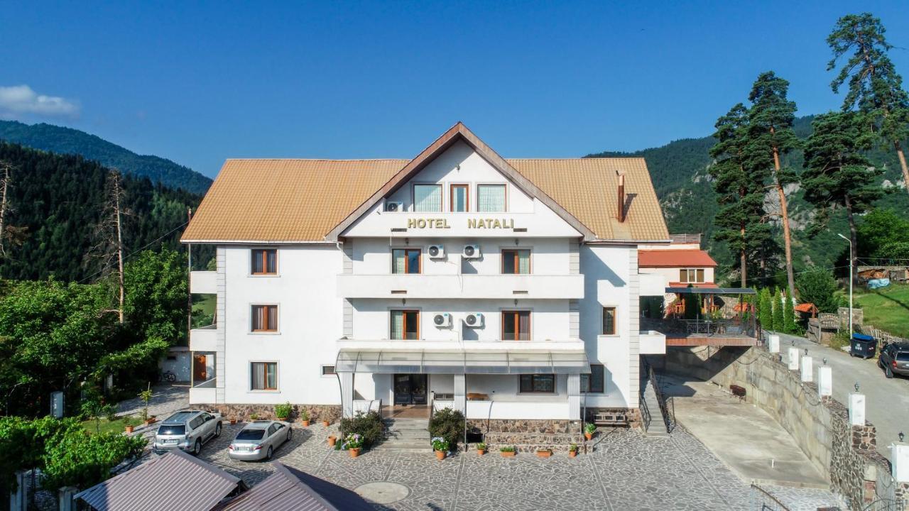 Natali Hotel Borjomi ภายนอก รูปภาพ