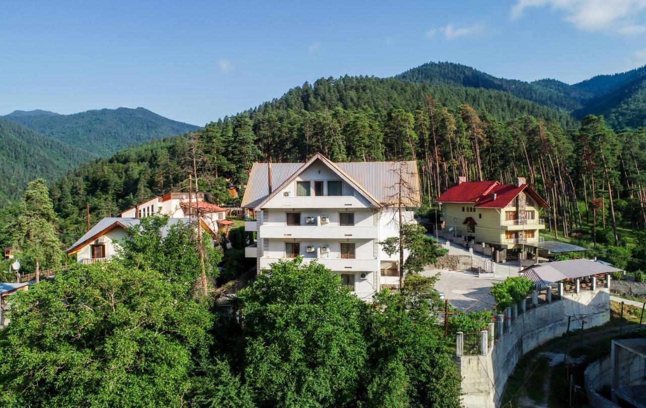 Natali Hotel Borjomi ภายนอก รูปภาพ