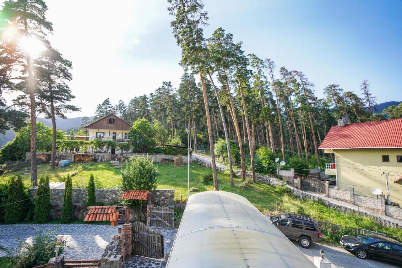 Natali Hotel Borjomi ภายนอก รูปภาพ