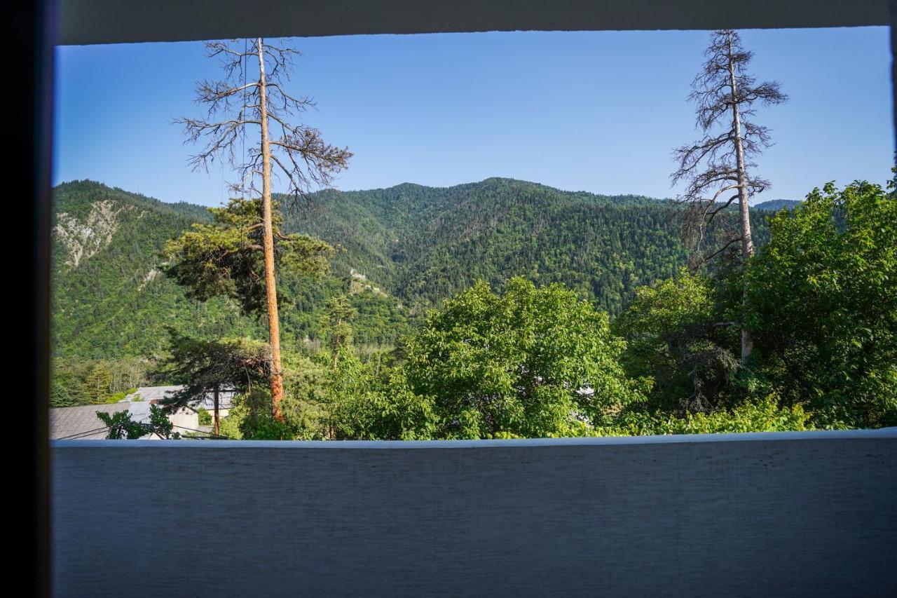 Natali Hotel Borjomi ภายนอก รูปภาพ