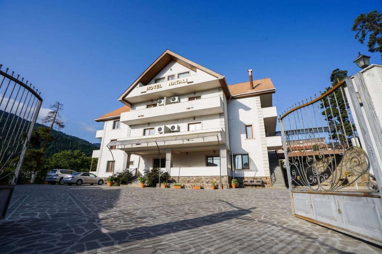 Natali Hotel Borjomi ภายนอก รูปภาพ