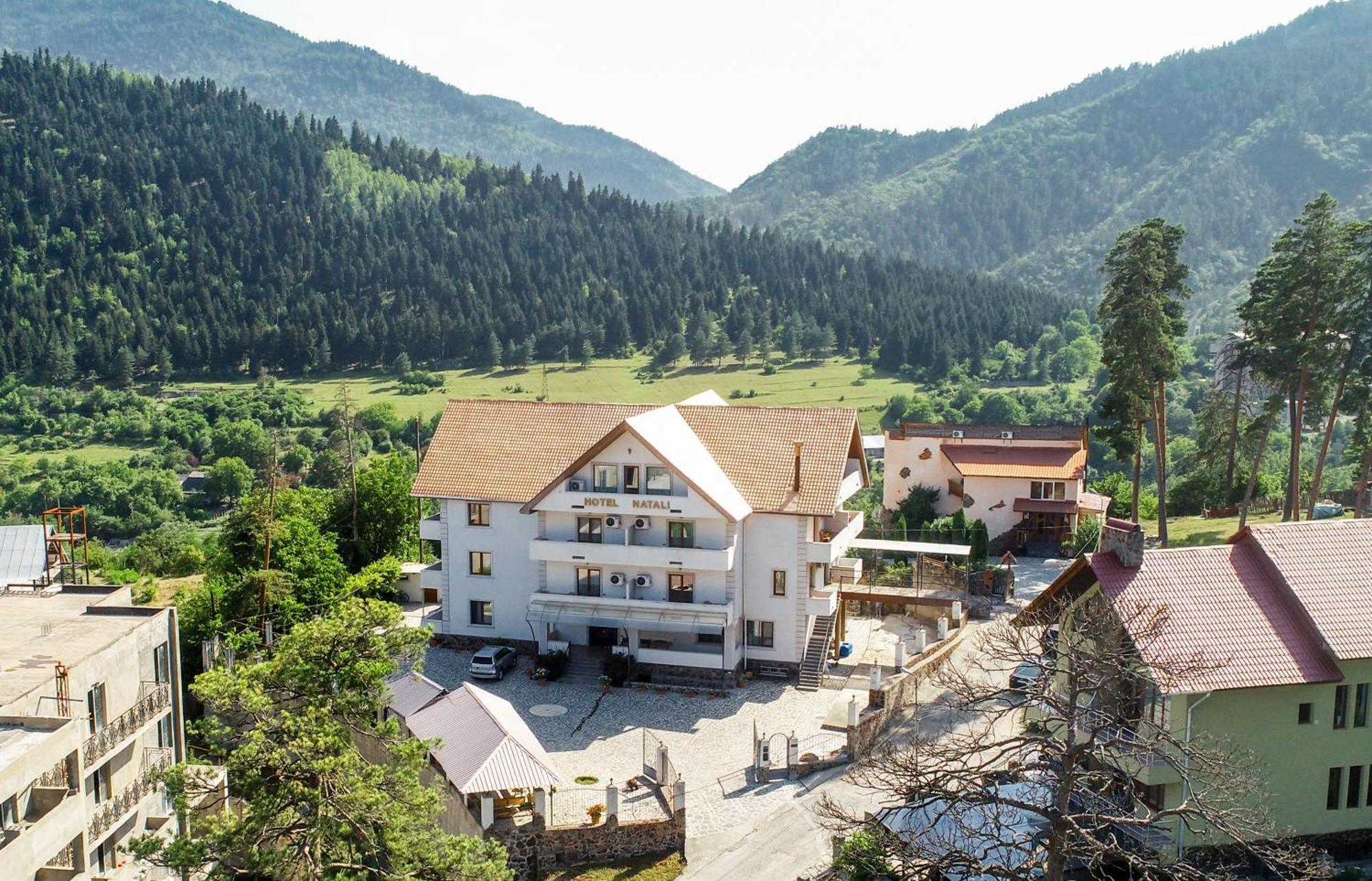 Natali Hotel Borjomi ภายนอก รูปภาพ
